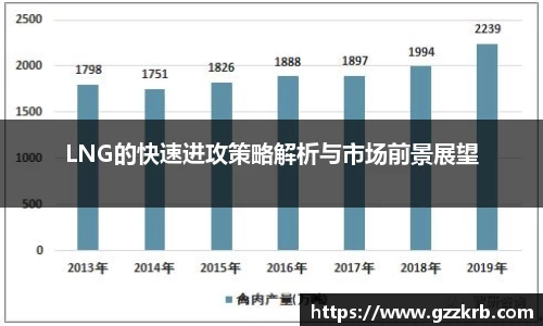LNG的快速进攻策略解析与市场前景展望