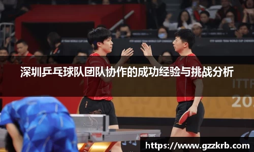 深圳乒乓球队团队协作的成功经验与挑战分析